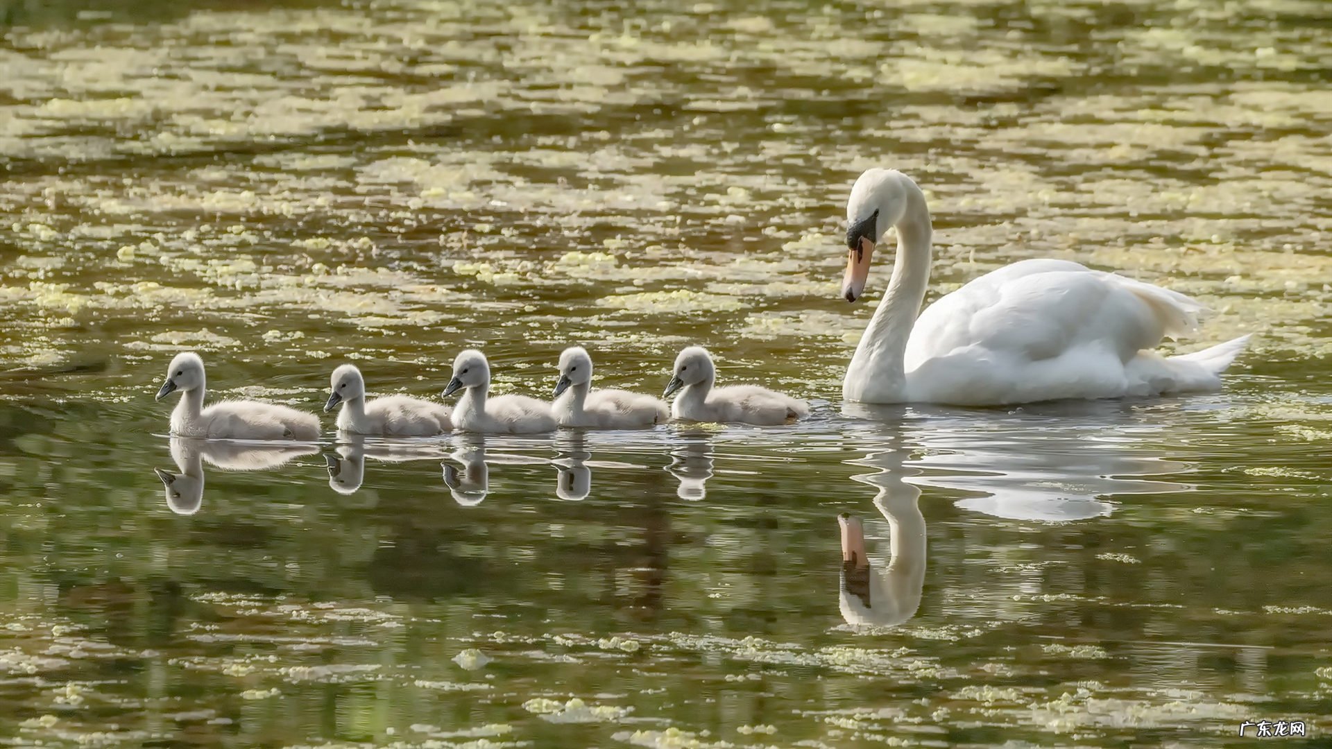 在朋友圈买到减肥药吃了有不良反应举报有用么