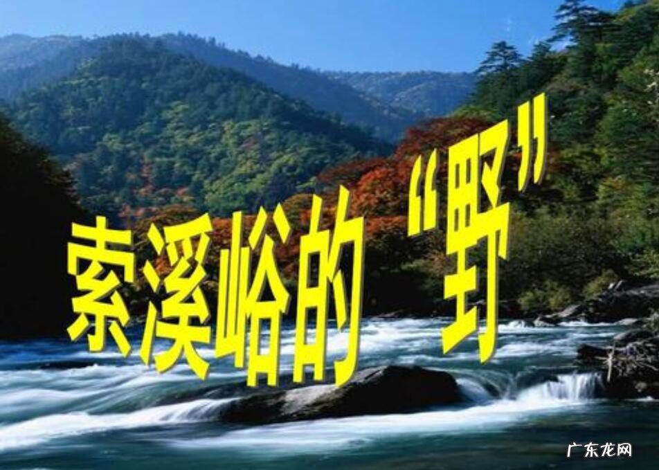 索溪峪的野主要内容