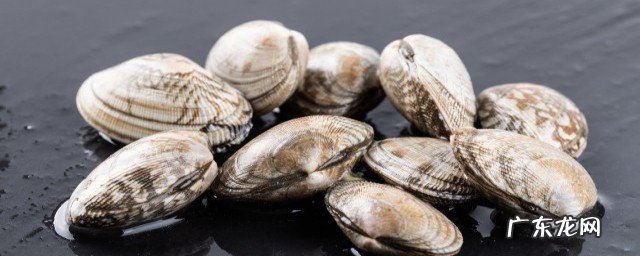 怎么煮花甲螺汤