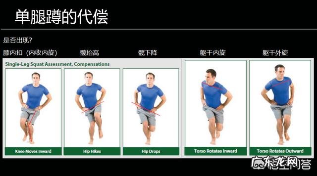 力量举与增肌训练有何不同