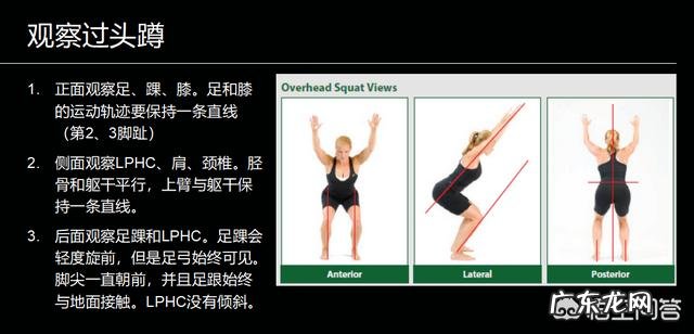 力量举与增肌训练有何不同