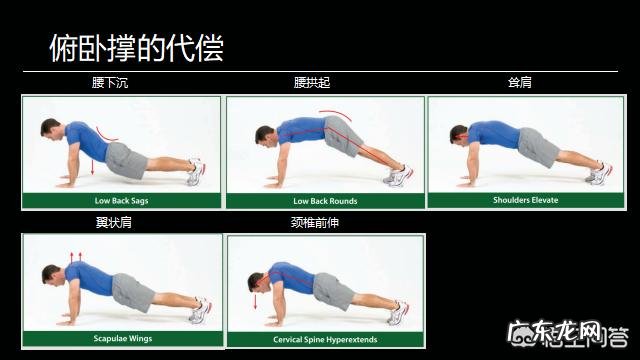 力量举与增肌训练有何不同