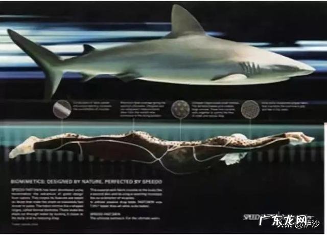 印度那么多黑人,为什么感觉运动天赋那么差为什么成不了体育强国