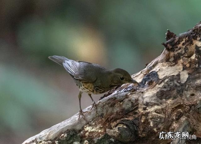 那些退休老大爷老奶奶每天扛着单反相机拍照,拍的好看吗