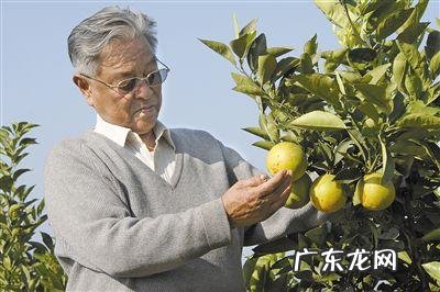 作为年轻人我们应该如何去修身养性?