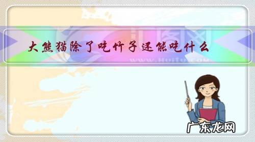 大熊猫除了吃竹子还能吃什么东西 大熊猫除了吃竹子还能吃什么?