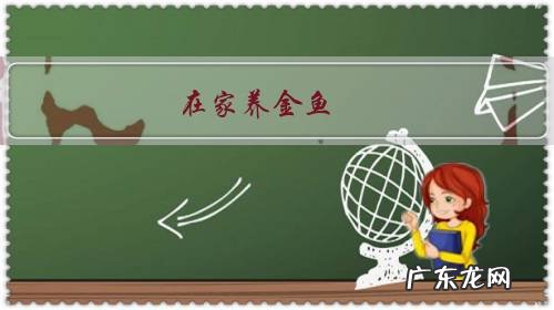 养金鱼放盐有什么好处 在家养金鱼,水中要不要放盐?