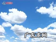 怎样培养孩子的语言表达能力?