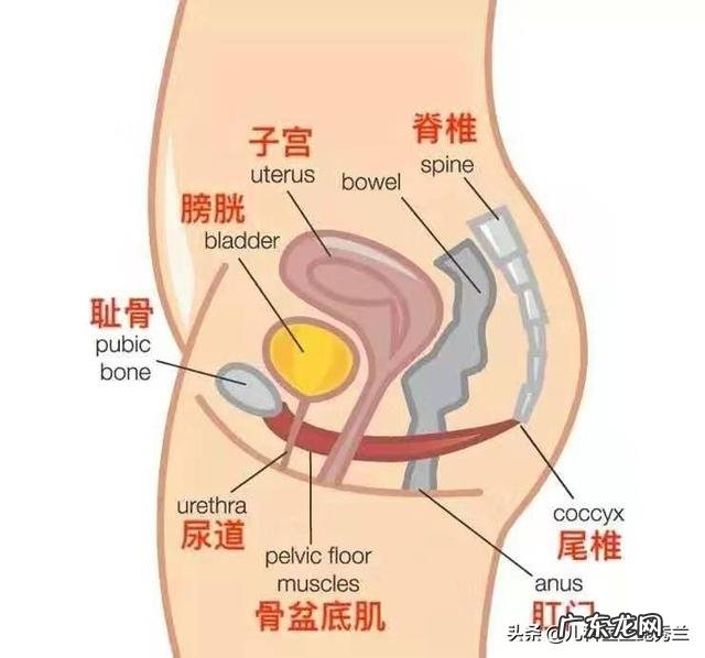 什么动作有助于刨腹产愈合
