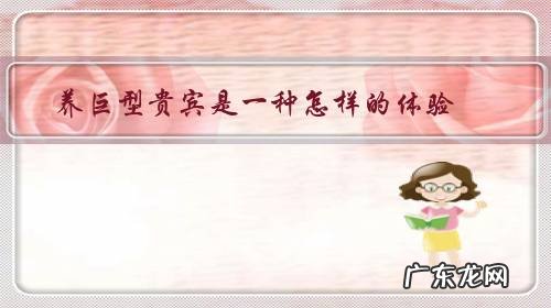 贵宾犬好养活吗 养巨型贵宾是一种怎样的体验？