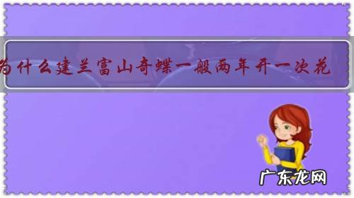 为什么建兰富山奇蝶一般两年开一次花?