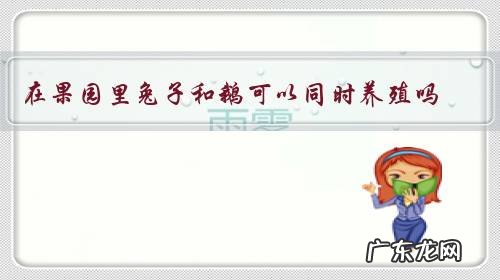 在果园里兔子和鹅可以同时养殖吗？鹅子会不会吃刚刚生下的小兔子？