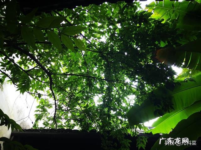 一岁的宝宝才18斤,有什么办法可以让宝宝胖乎点