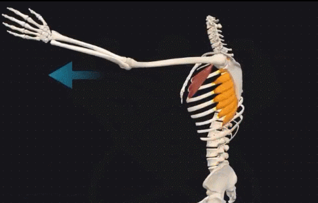 男人做俯卧撑对身体有好处吗