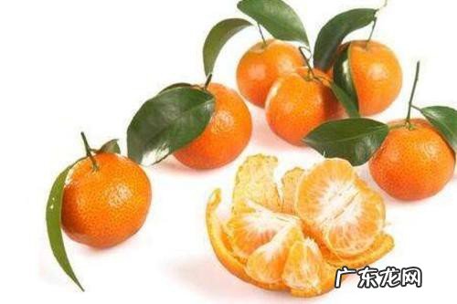 橘子是酸性还是碱性