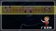 洪欣的简介 女星洪欣的经历给你哪些启示？