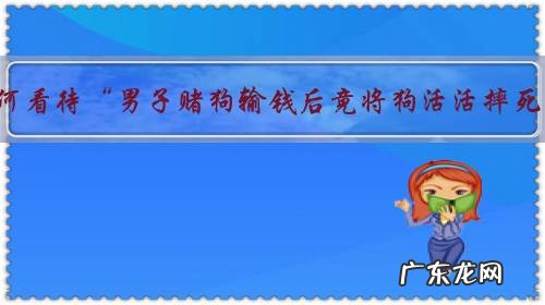 如何看待“男子赌狗输钱后竟将狗活活摔死,还说狗不行就吃肉”?