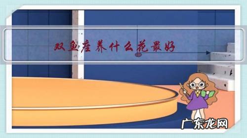 双鱼座养什么植物旺财 双鱼座养什么花最好？