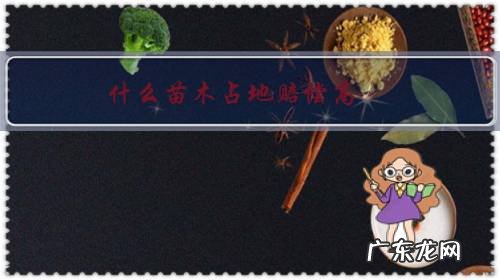 什么苗木占地赔偿高?有哪些建议?