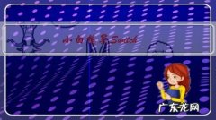 小白想买Switch，请问是买日版，港版，还是最近才发售的国行？