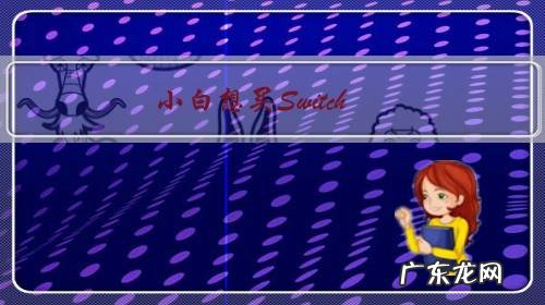 小白想买Switch,请问是买日版,港版,还是最近才发售的国行?