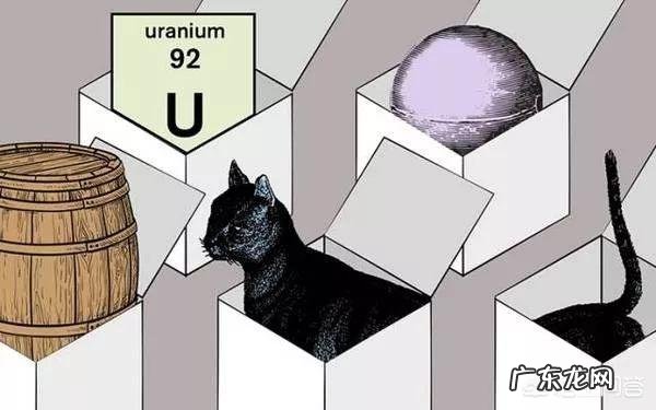 如果一辈子只能拥有3块手表,你会怎么选