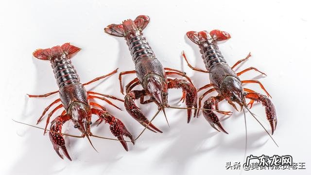 蒜泥小龙虾怎么做好吃?