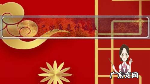 巴沙鱼是什么鱼?有什么营养价值?