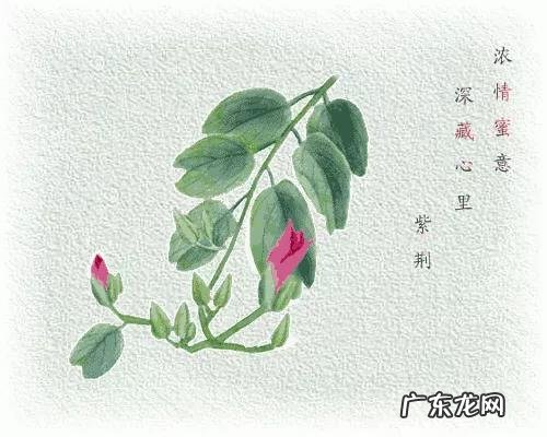 清明节有什么典故?