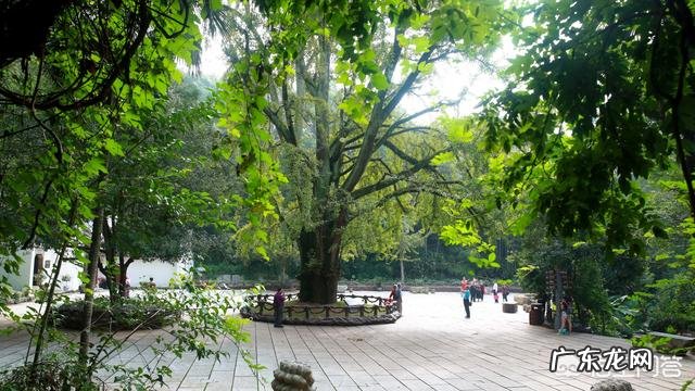 说出你最喜欢的描写夏天的诗词是什么?