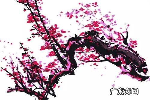 新鲜腊梅花怎么制成茶