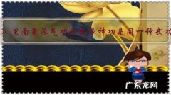 《龙珠》里面龟派气功和龟派神功是同一种武功吗？若不是，两者有什么区别？