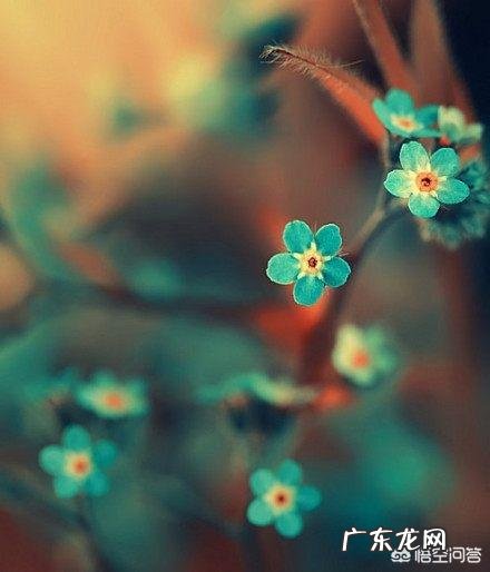 你知道有哪些精致的反驳其他人的句子?