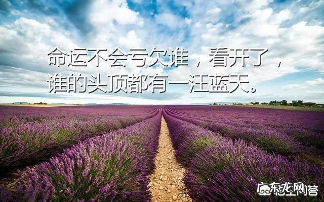 你知道有哪些精致的反驳其他人的句子？