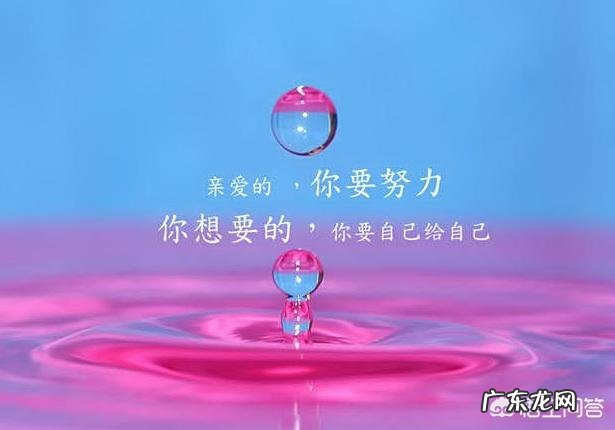 你知道有哪些精致的反驳其他人的句子？