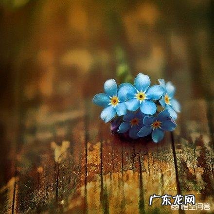 你知道有哪些精致的反驳其他人的句子?