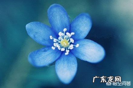 你知道有哪些精致的反驳其他人的句子?