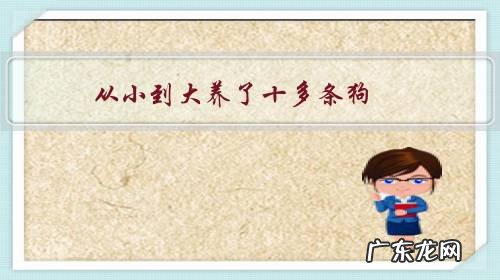 从小到大养了十多条狗,不是死了就是被偷,这是怎么回事?