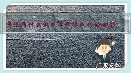 有没有什么低成本却很成功的电影,最好是搞笑的?