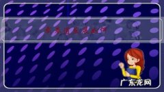 截拳道有实战能力吗 截拳道发展如何？