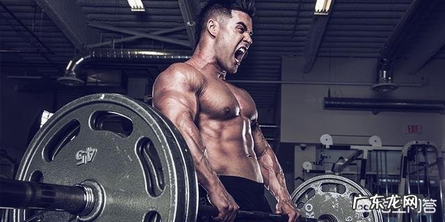 如何训练,增加胸大肌的肌肉量