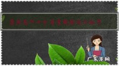 康熙为何十分看重乾隆这个孙子，乾隆有什么过人之处？