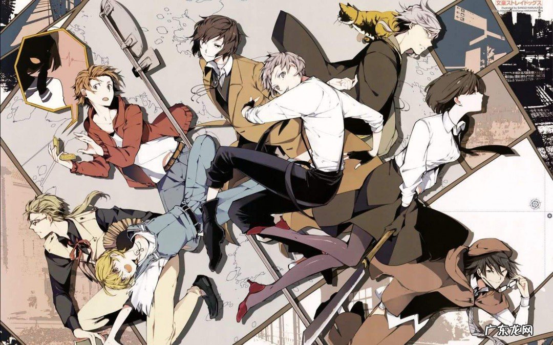 文豪野犬第一季中也出场集数