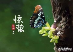 农村民谚说， “过了惊蛰节，锄头不停歇”，有什么道理吗？