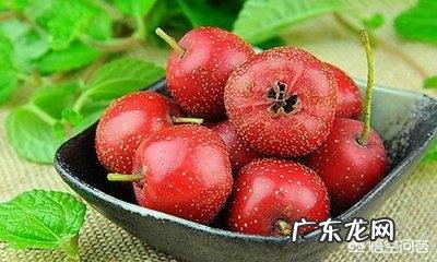 山楂的药物作用有哪些？