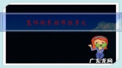 怎样饲养拉布拉多犬，它会更健康呢？