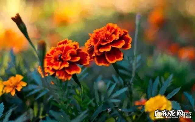 你知道那些为人处世的名言名句?