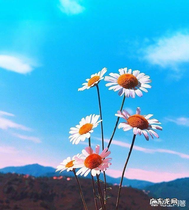 你知道那些为人处世的名言名句?