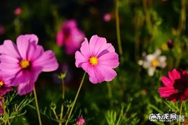 你知道那些为人处世的名言名句?