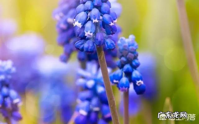 你知道那些为人处世的名言名句？